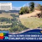 Forestal destruye estero Chanco en la Fütawillimapu ante pasividad de la DGA
