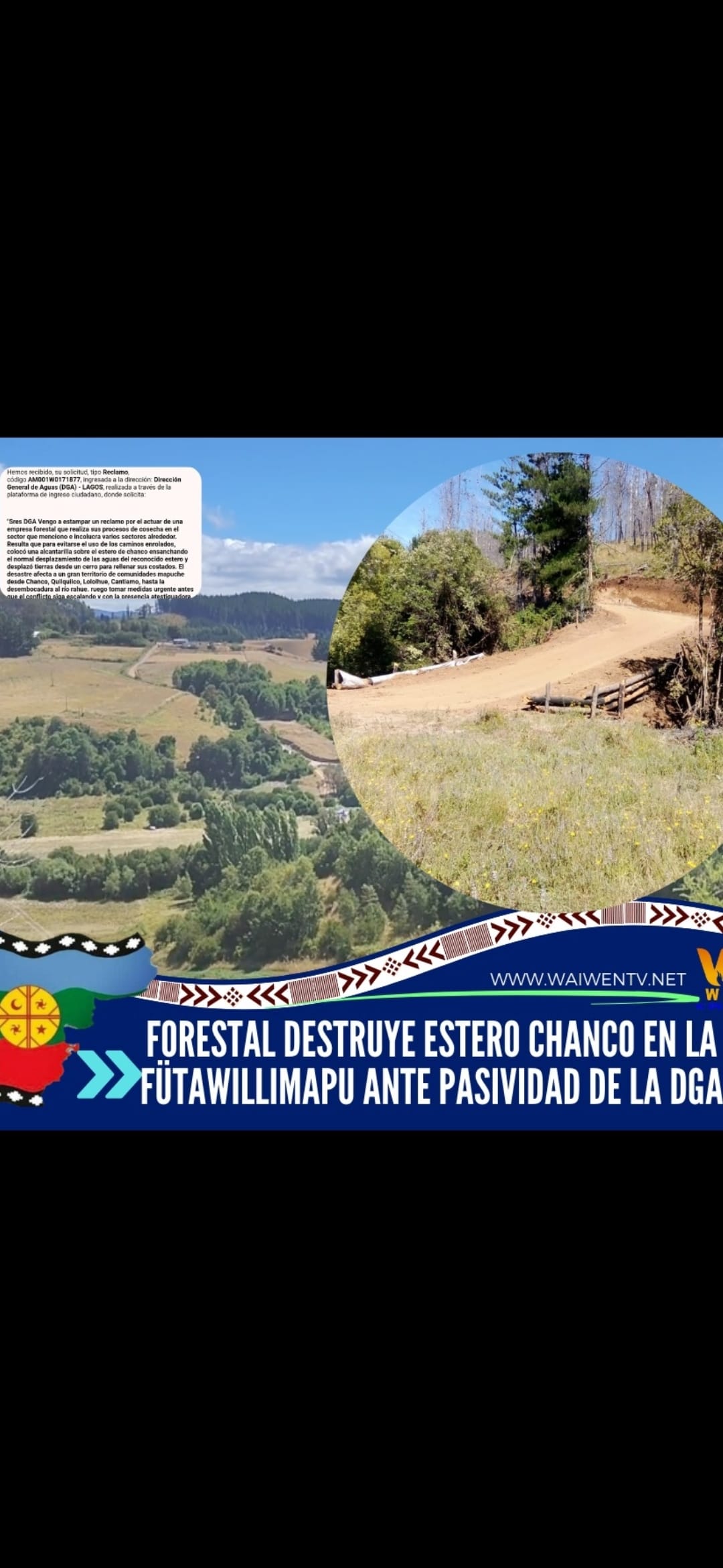 Forestal destruye estero Chanco en la Fütawillimapu ante pasividad de la DGA